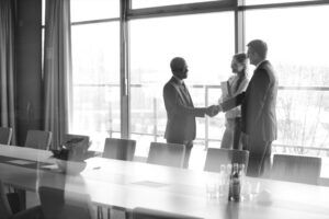 consultants shaking hands