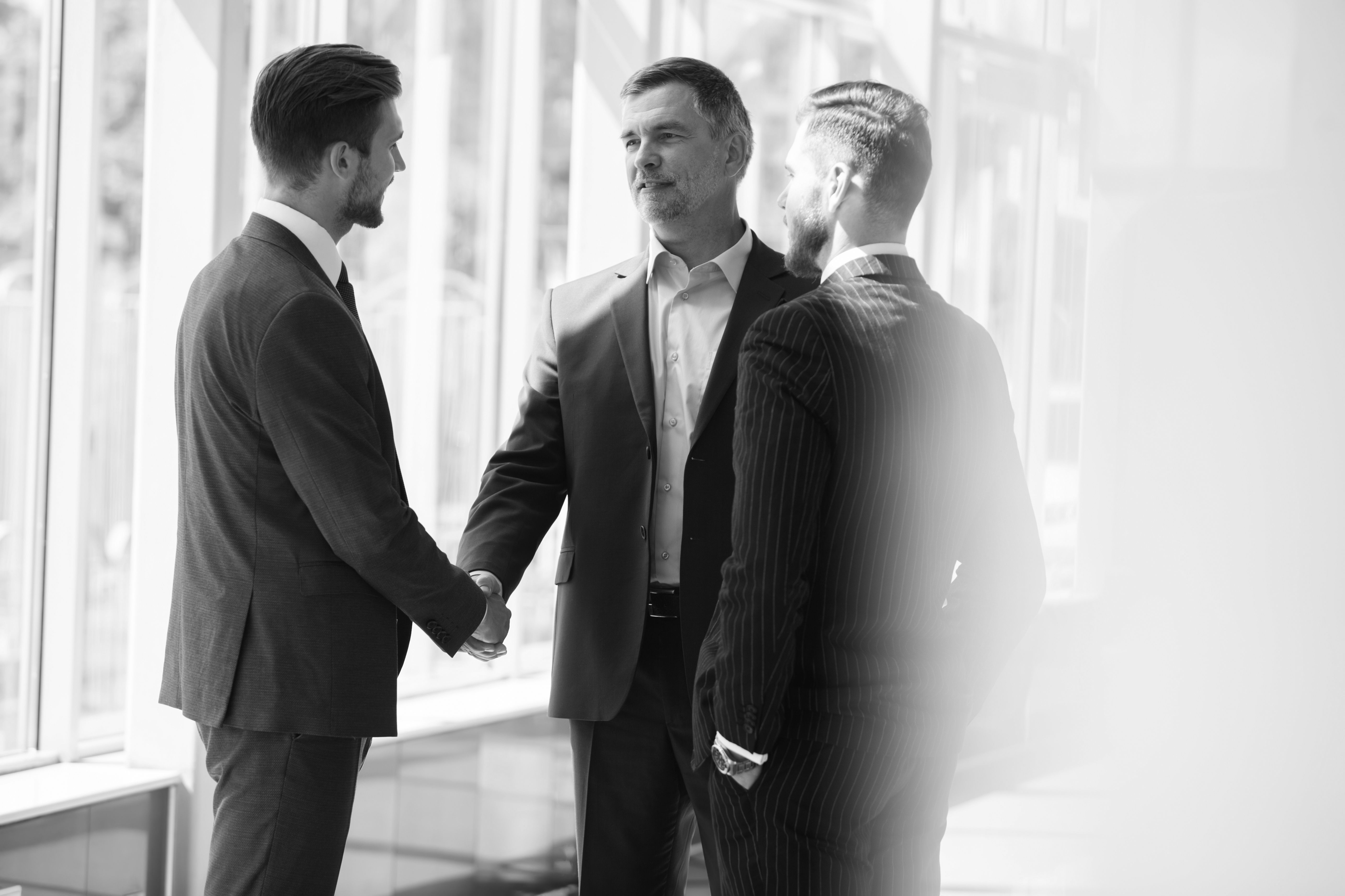 consultants shaking hands