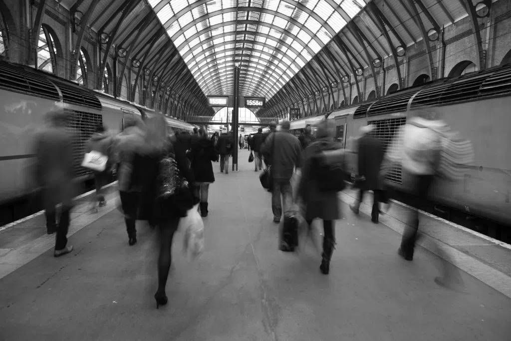 busy consultants