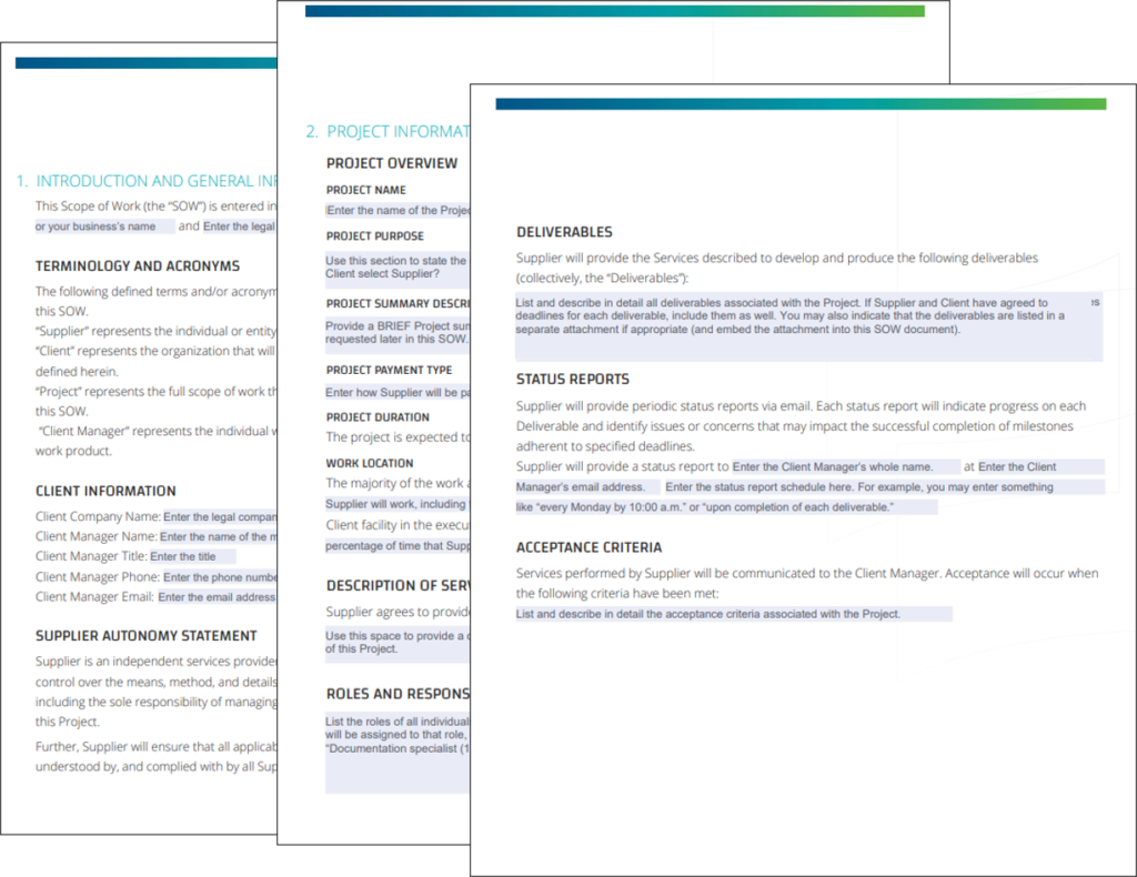 sow template project management consulting services