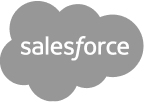 saleforce-icon