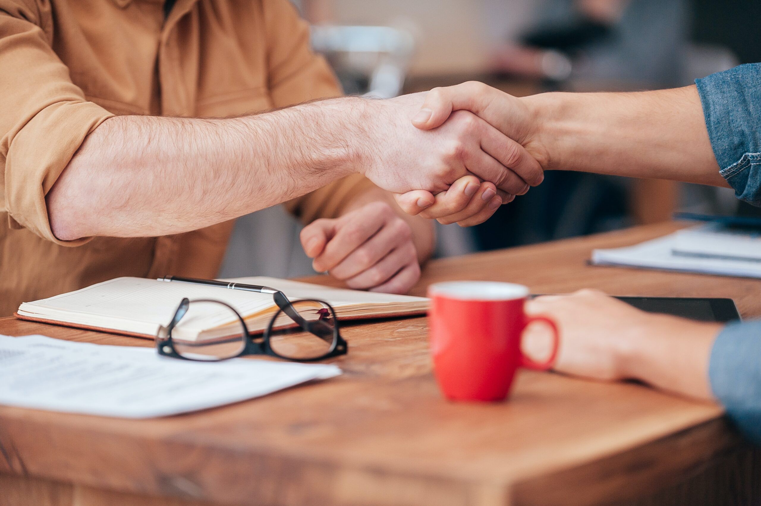 consultants shaking hands