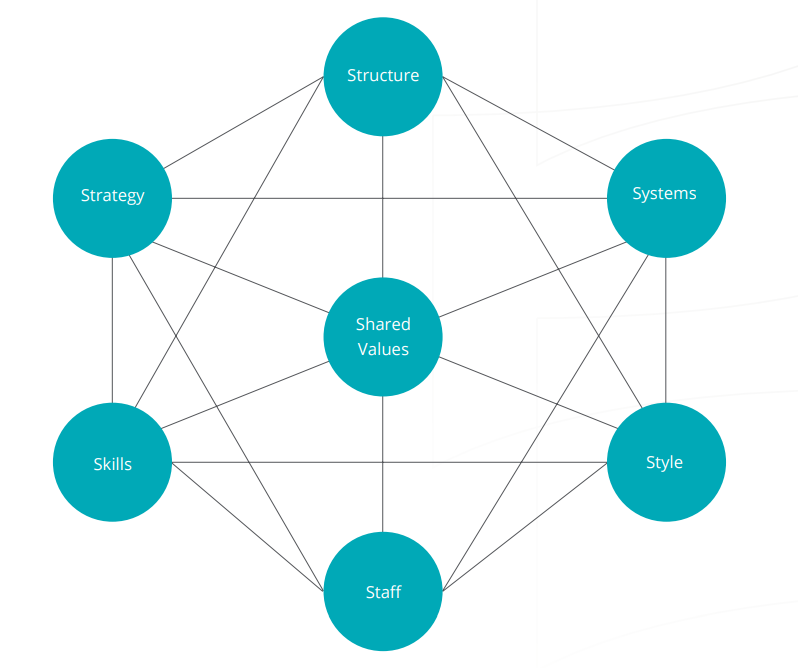 McKinsey interconnect