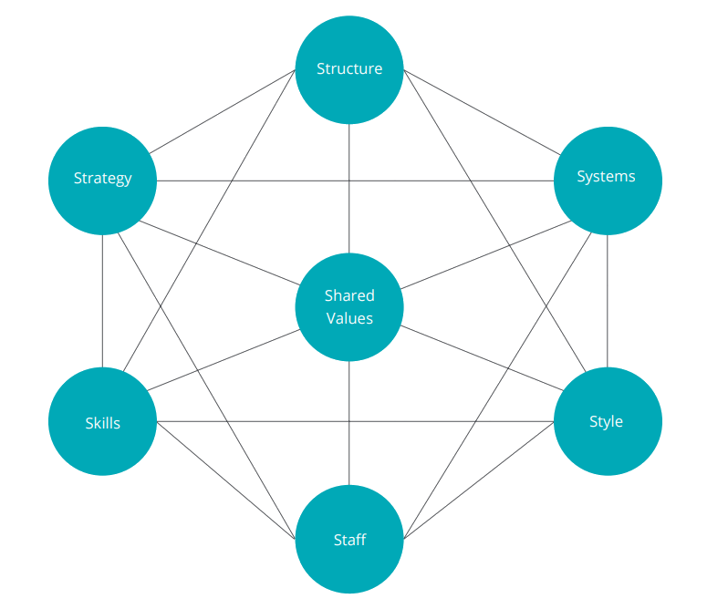 mckinsey interconnect